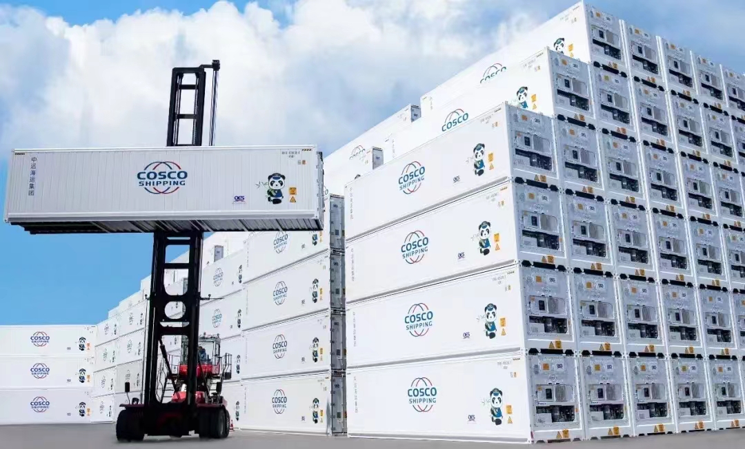 中远定提服务(图1)